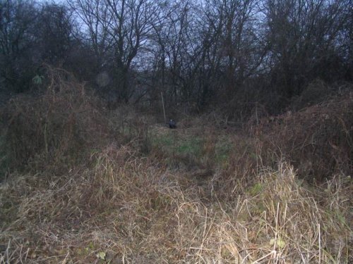 Studánka na Popovsku - 19.3.2005